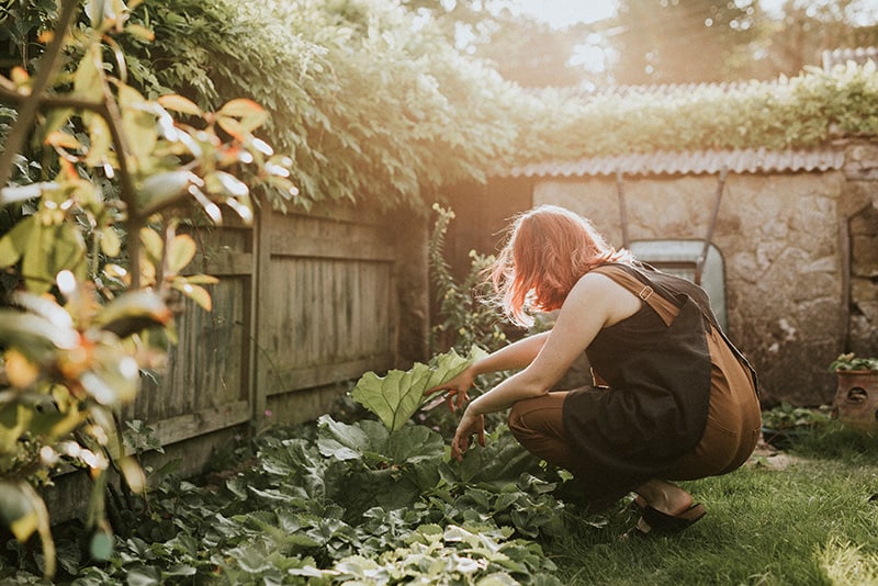 Dörthe Priesmeier: Tipps, die die Gartenarbeit erleichtern