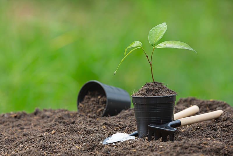 Dörthe Priesmeier: Tipps, die die Gartenarbeit erleichtern
