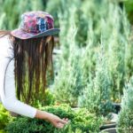 Essbare Wildkräuter statt Unkrautvernichtung: Der nachhaltige Gartenansatz von Dörthe Priesmeier